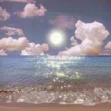 Huỳnh Ngọc Lan avatar