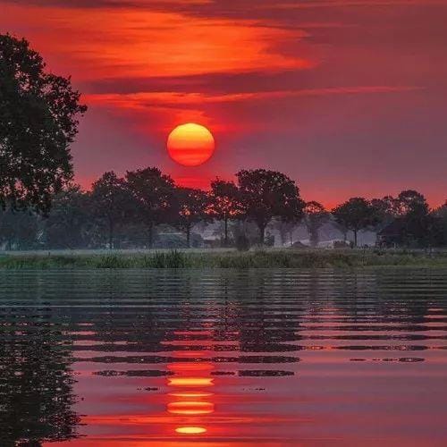 Lê Hoàng Bách avatar